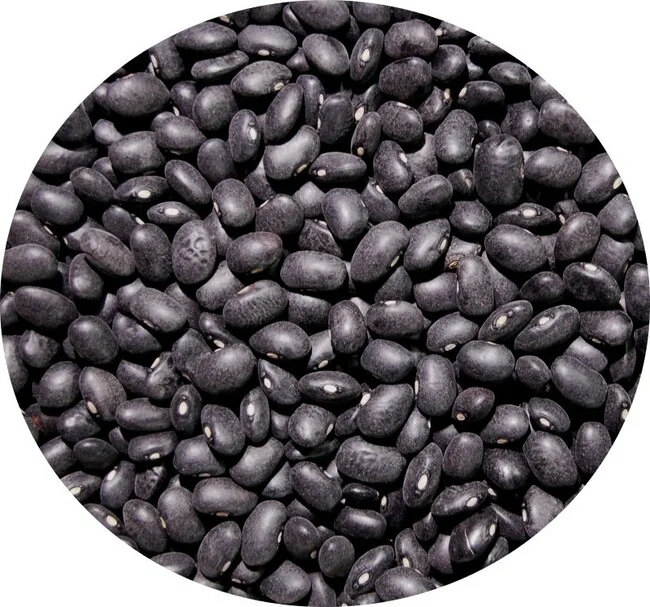Haricots noirs type coco 25 kg Legumor