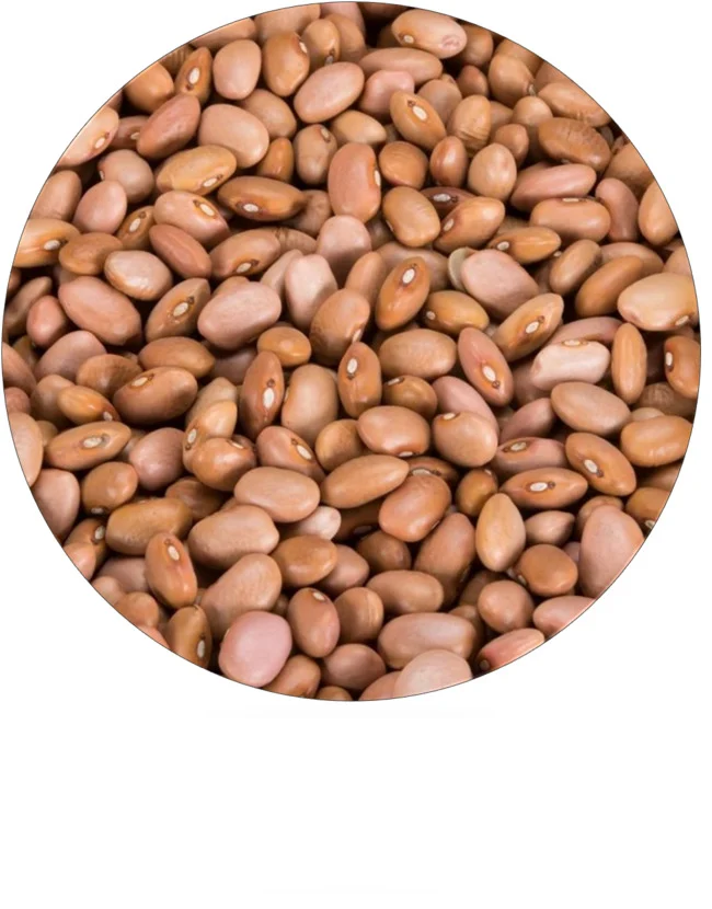 Haricots roses 25 kg Legumor