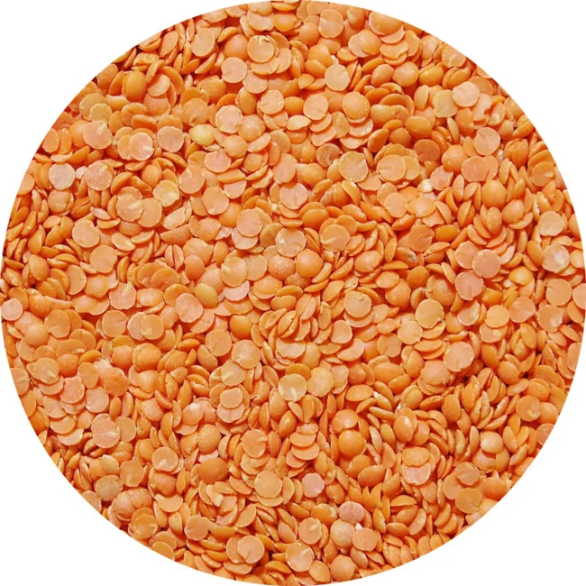 Lentilles corail décortiquées 25kg Légumor