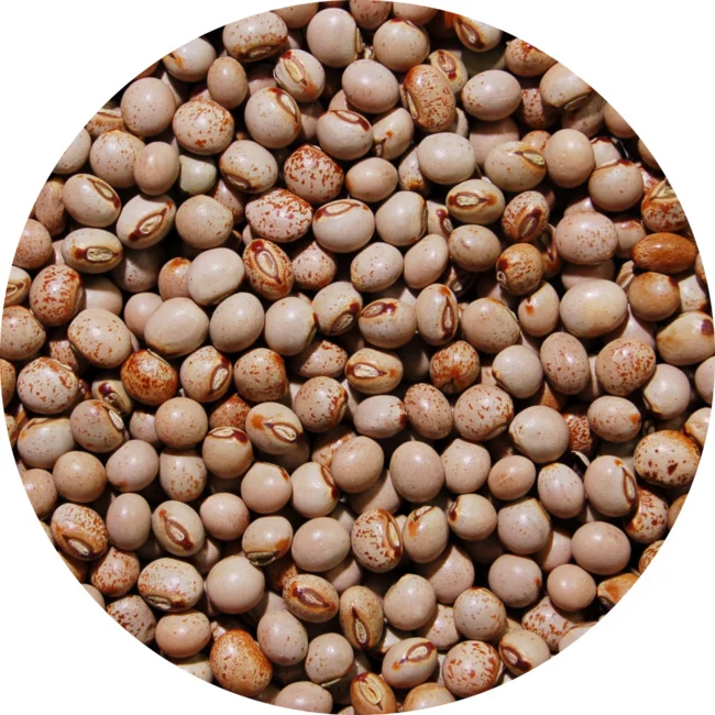 Pois Angole 25 kg Legumor